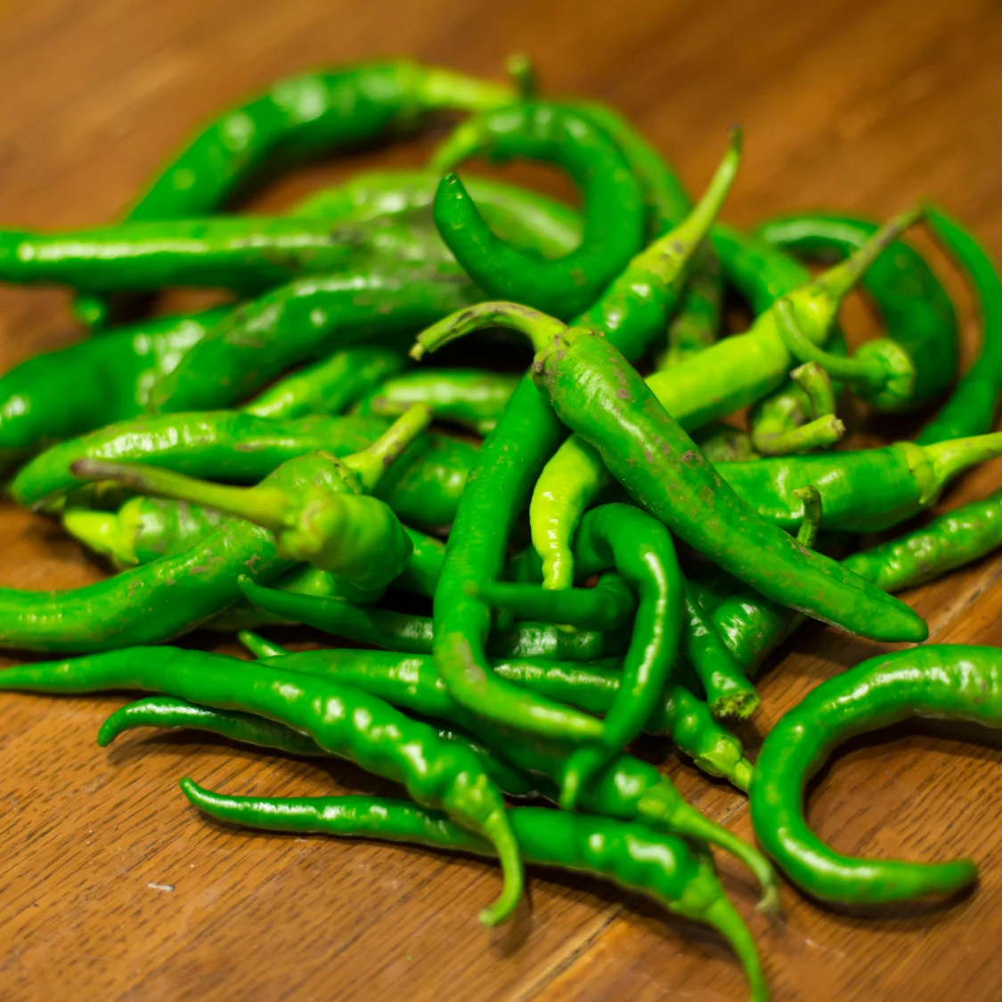 DIT corner logo.pdf (500 x 500 px) (1)