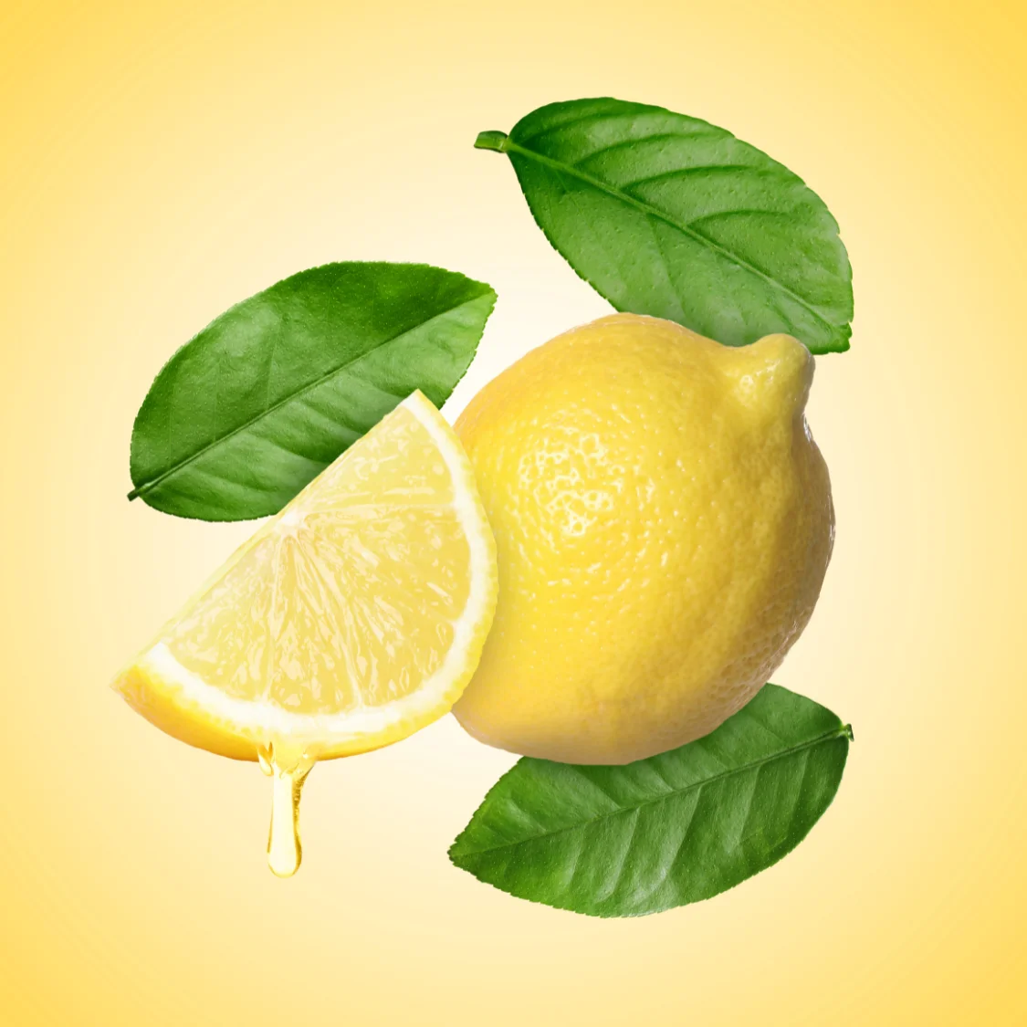 DIT corner logo.pdf (500 x 500 px) (2)