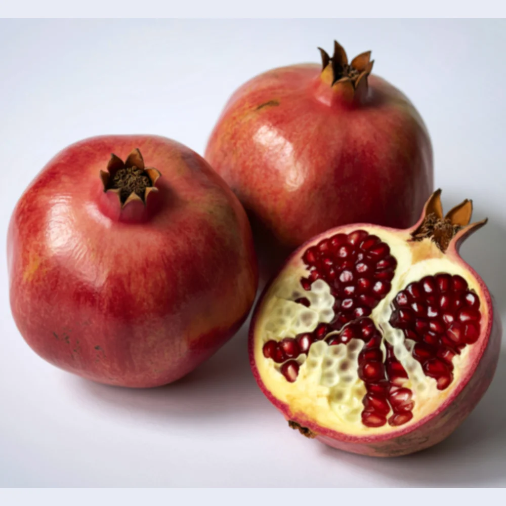 DIT corner logo.pdf (500 x 500 px) (7)