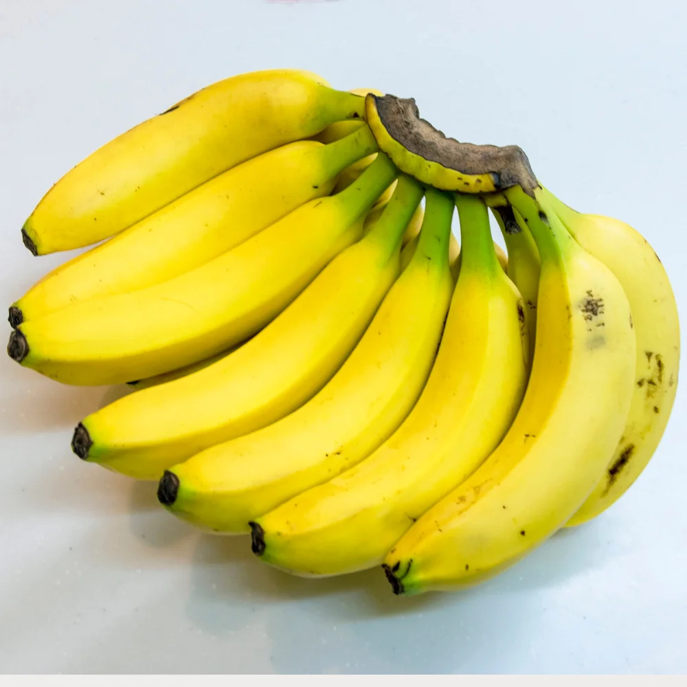 DIT corner logo.pdf (500 x 500 px) (8)