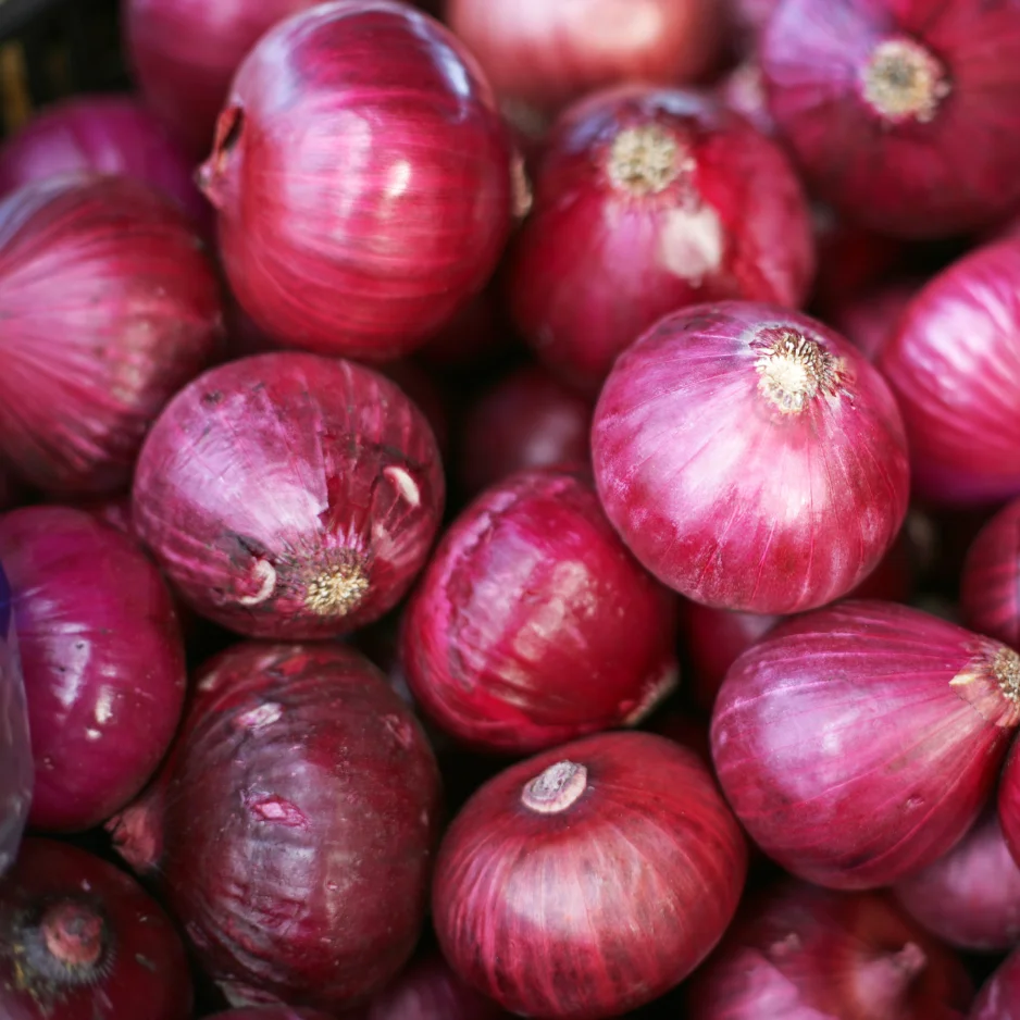 DIT corner logo.pdf (500 x 500 px)